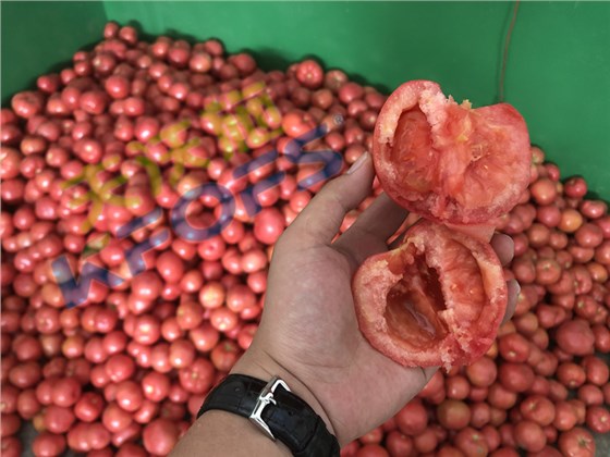 大量元素水溶肥-西红柿用采法特大量元素.png