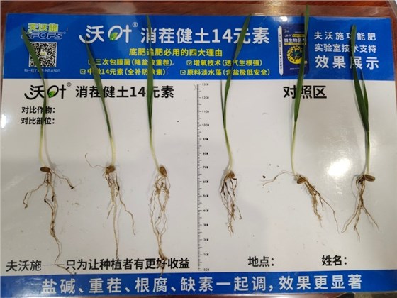 微信图片_20261016150336_861_1_副本.jpg