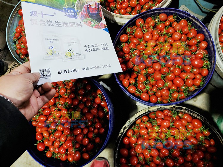 夫沃施进口肥怎么样？