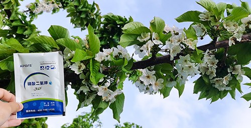 保花保果叶面肥，她就认准这个牌子！