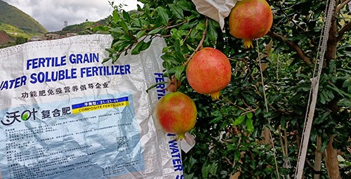 石榴施肥用什么肥料效果好？