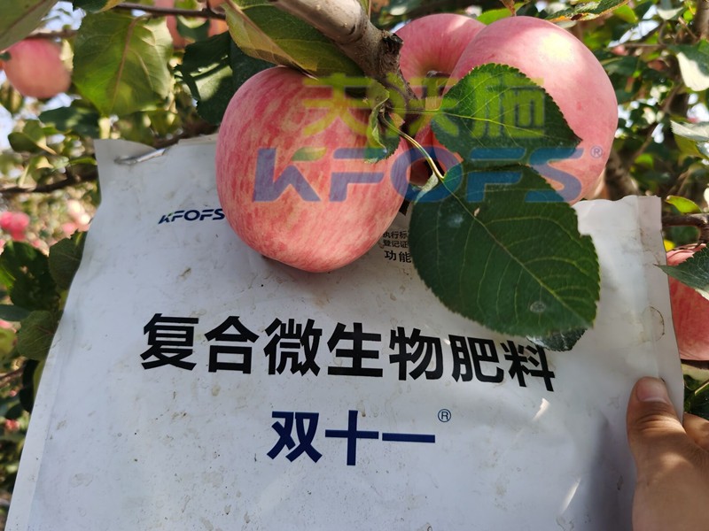 微生物肥料-苹果用双十一微生物肥料.jpg
