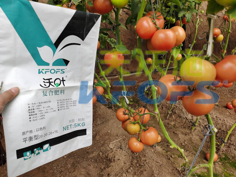 水溶肥-番茄用沃叶大量元素效果.png
