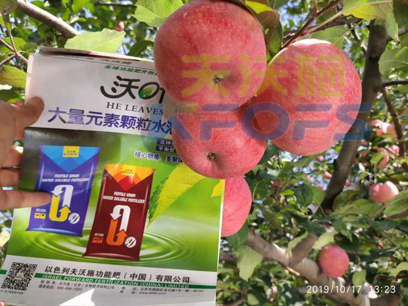颗粒水溶肥的特点和使用方法
