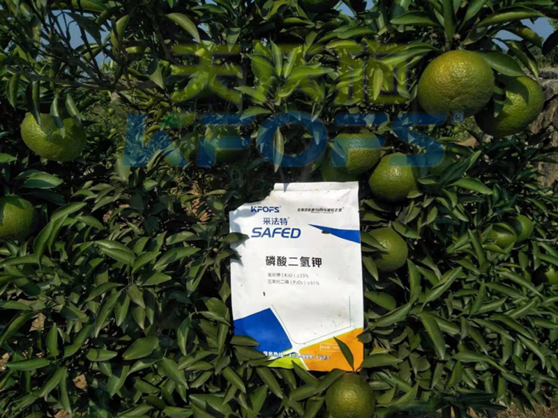 水溶肥-柑橘用采法特水溶肥2.png