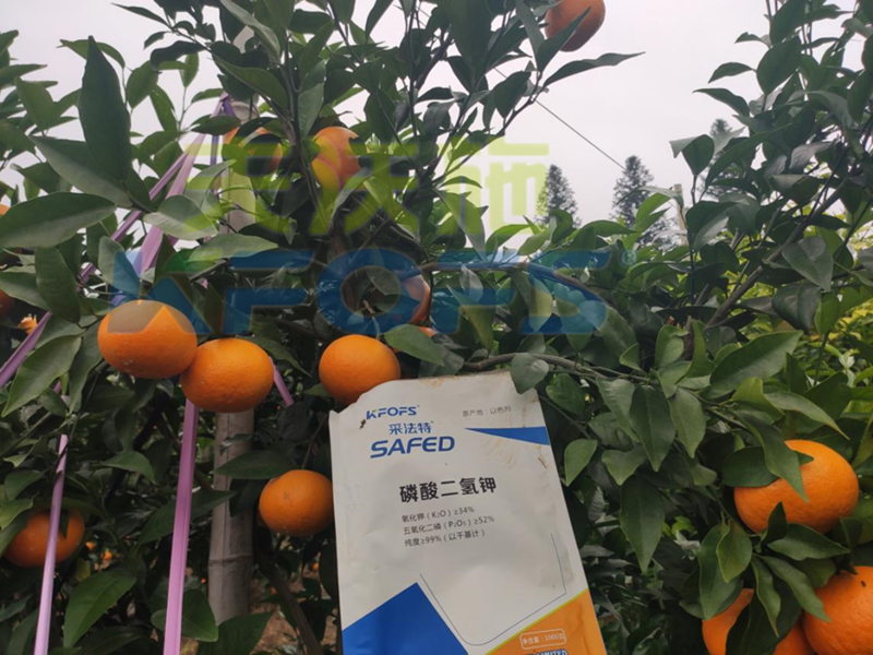 磷酸二氢钾-柑橘用采法特磷酸二氢钾.png