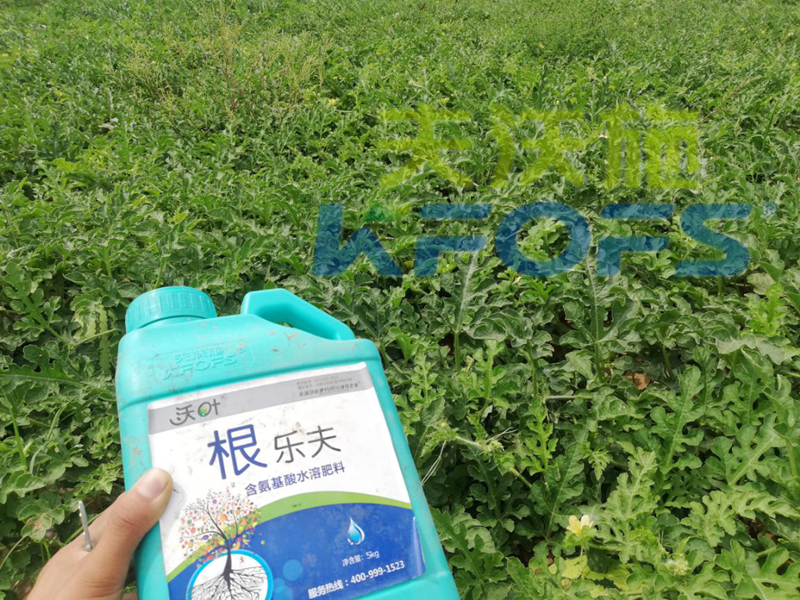 生根剂用多了烧根吗？