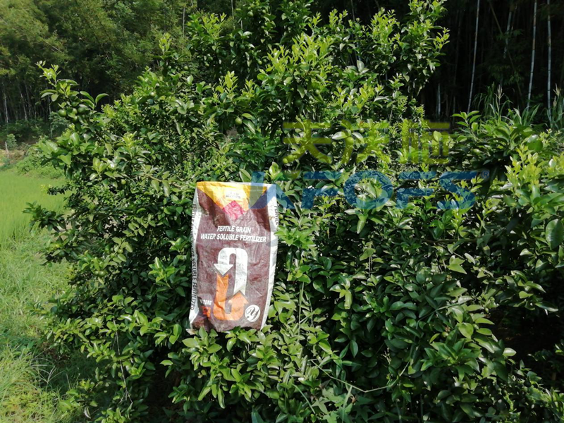 选购复合肥厂家的产品时需考虑哪些因素
