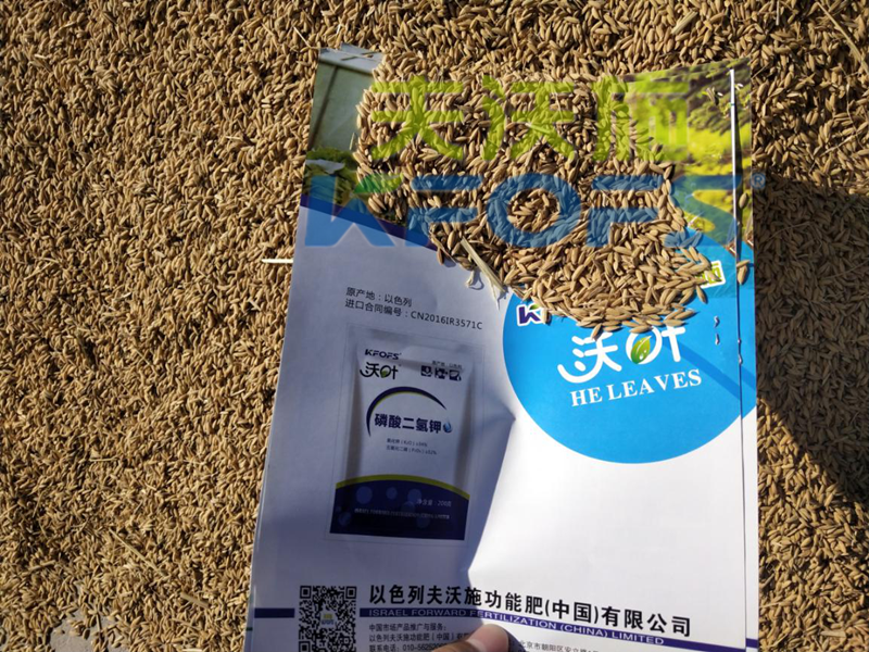 水溶肥哪家好？沃叶水溶肥效果怎么样？