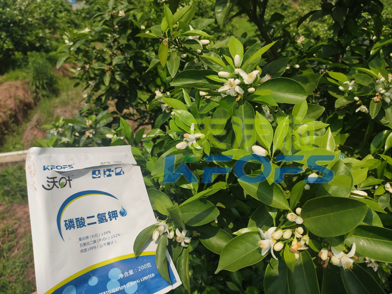 磷酸二氢钾多少钱一吨？有什么区别