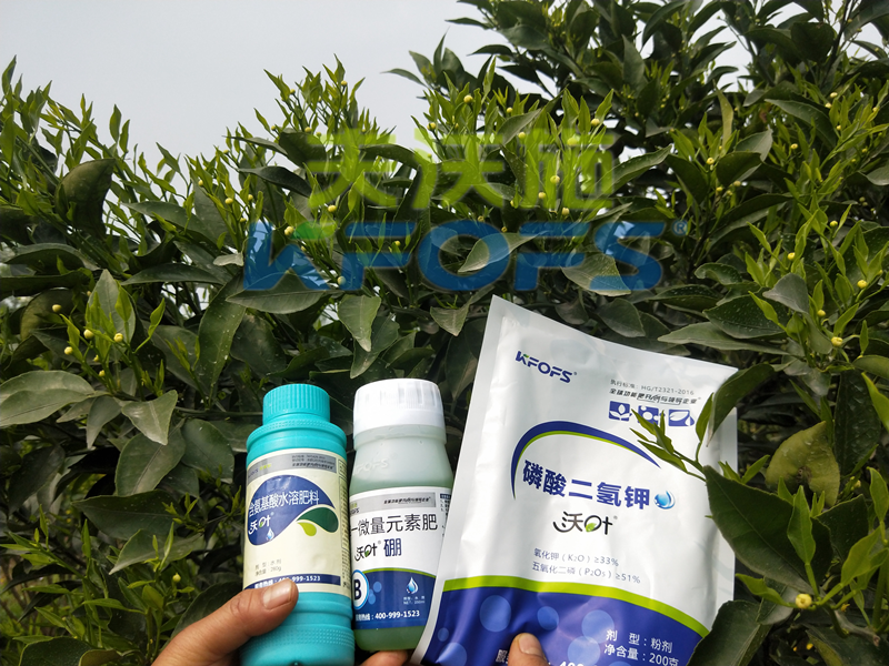 保花保果叶面肥，你用对了吗？