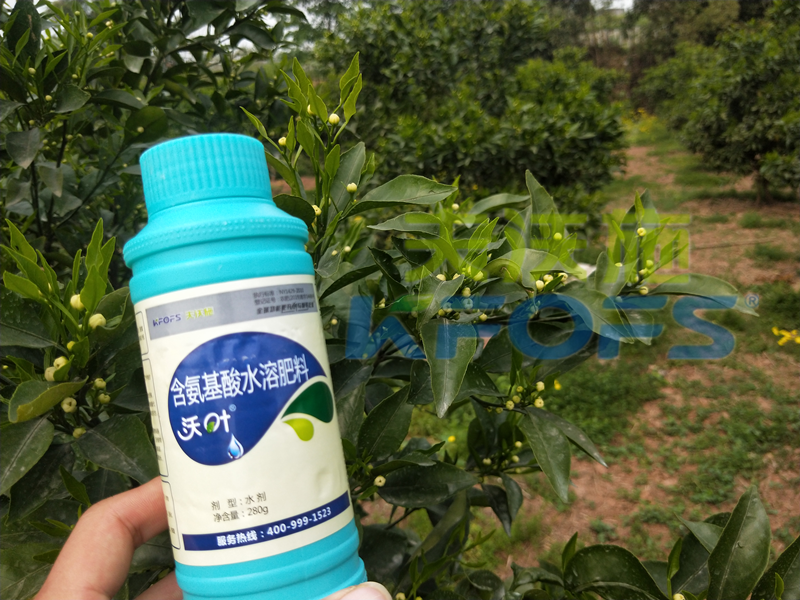 叶面肥是什么肥料，有哪些你不知道的秘密
