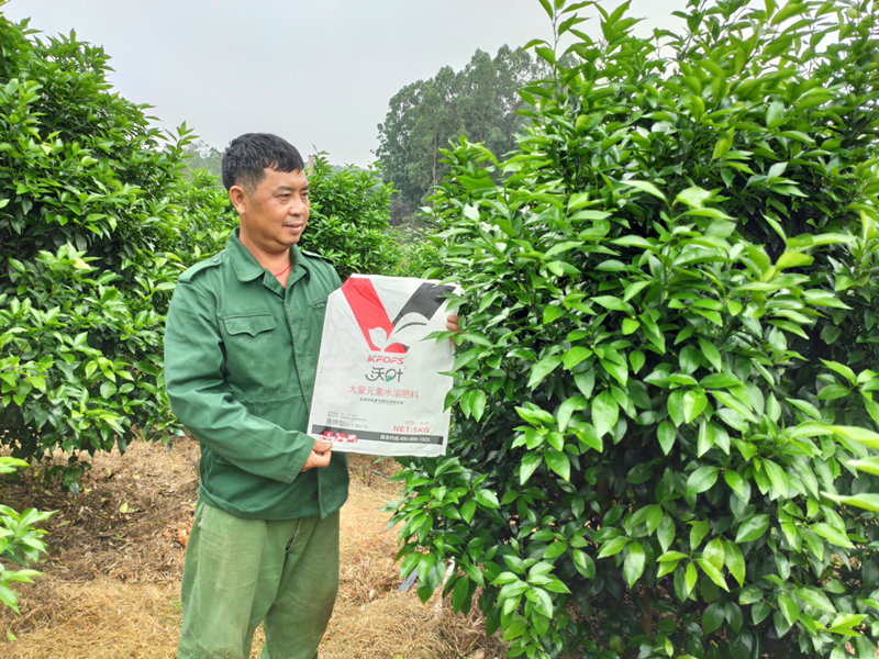 水溶肥品牌的选择，种植户有发言权