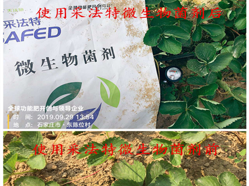 微生物菌剂为什么一定要用？如何选择