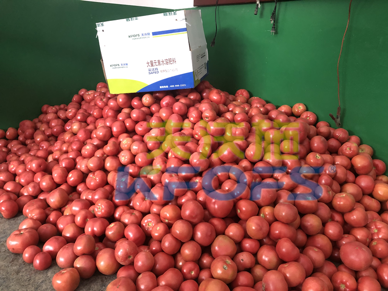 大量元素水溶肥-西红柿用采法特大量元素1.png