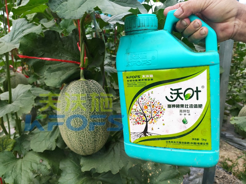水溶肥厂家值得信赖的原因有哪些