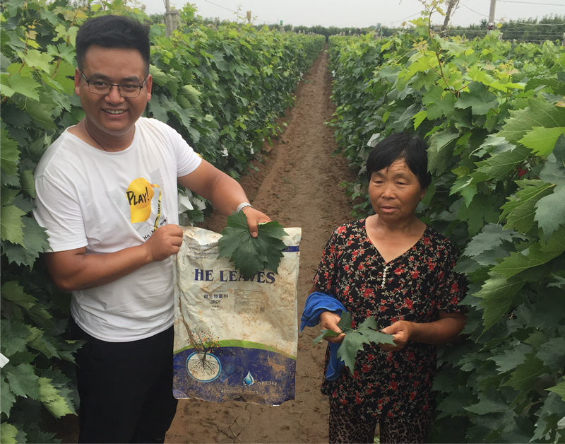 微生物菌剂改善出优良土壤环境