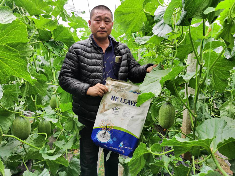 沃叶水溶肥为什么能够扎根百姓心中?