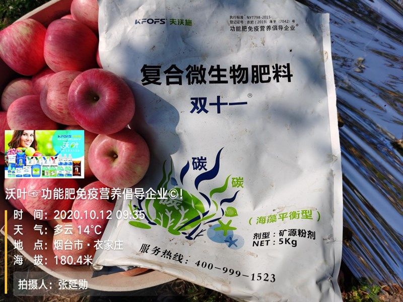 复合微生物肥料-苹果用双十一效果.jpg