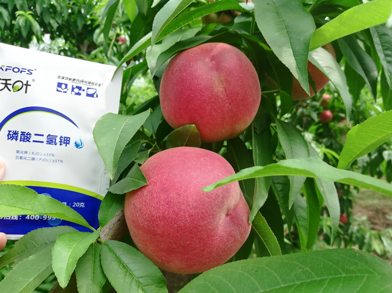 桃树施什么肥料好-沃叶磷酸二氢钾叶面肥.png