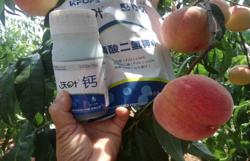 叶面肥-水蜜桃用沃叶磷酸二氢钾钙肥.png