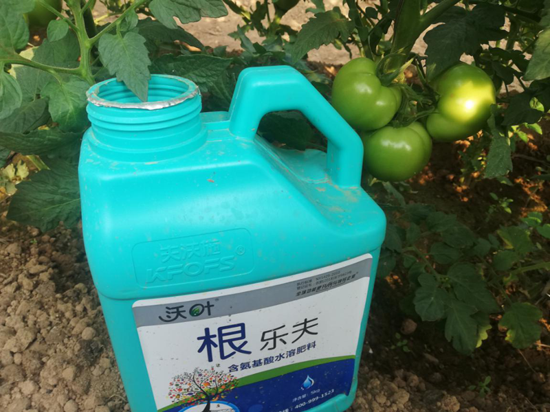 如何更好使用生根剂