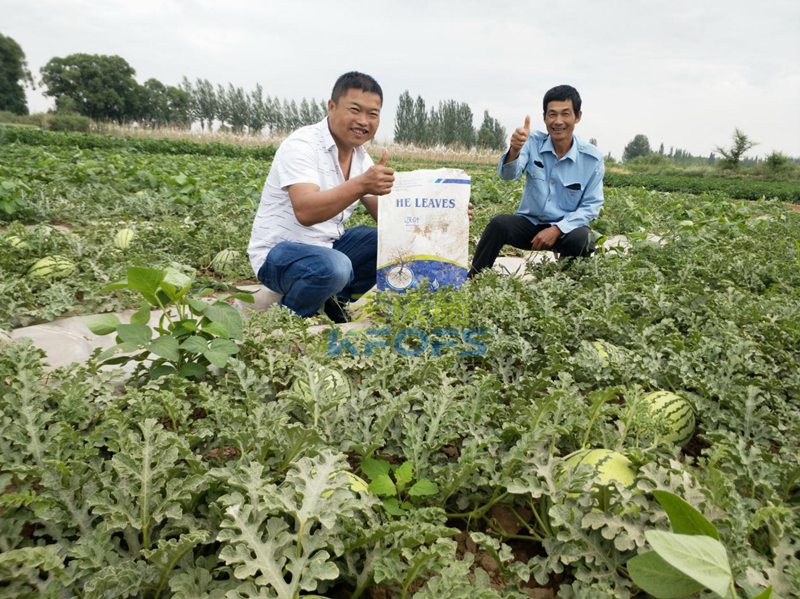 菌肥怎么使用好