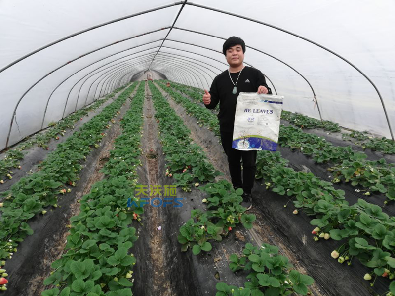 作物用肥，对食品安全的重要作用