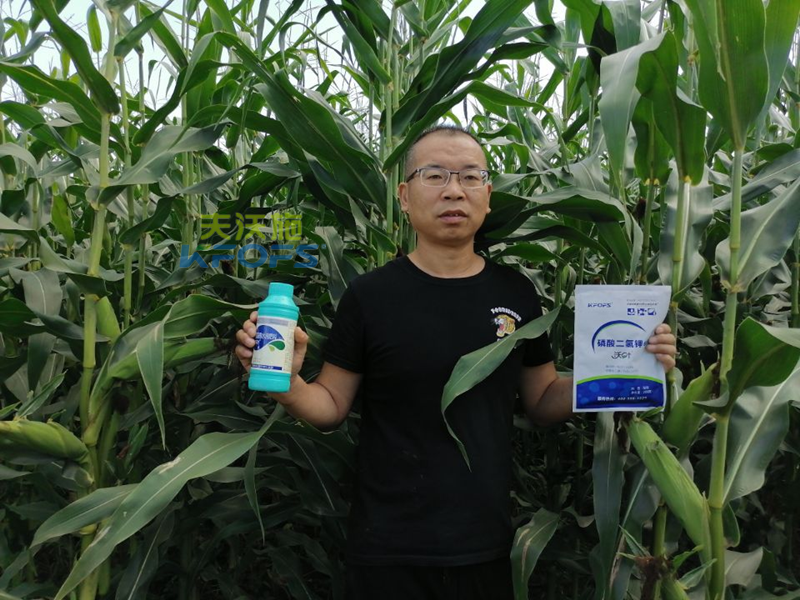 玉米追肥用什么肥料好-沃叶水溶肥系列.png