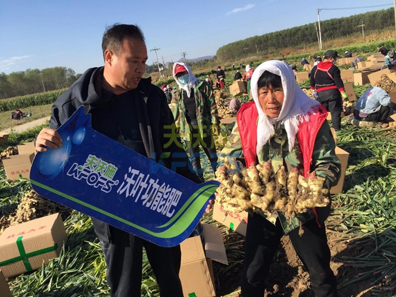 微生物菌剂哪个牌子好？夫沃施沃叶