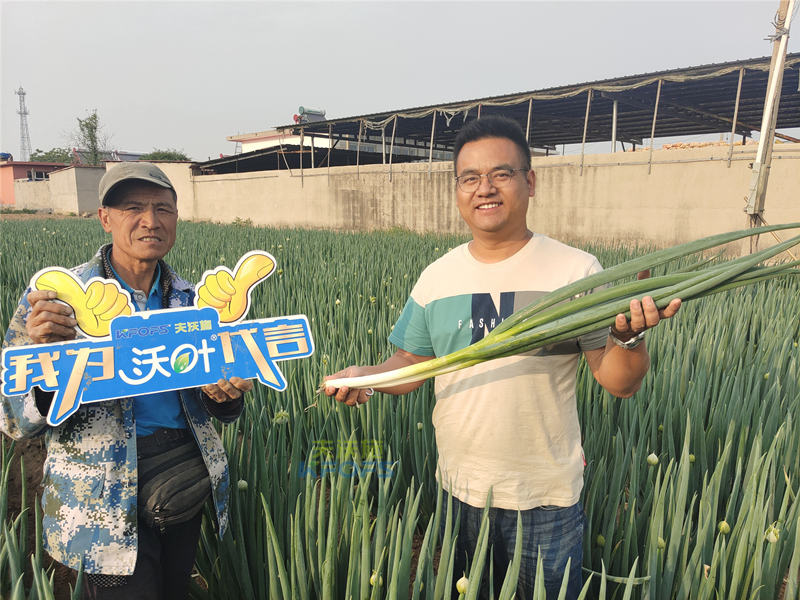 进口水溶肥-沃叶进口水溶肥用户见证.png