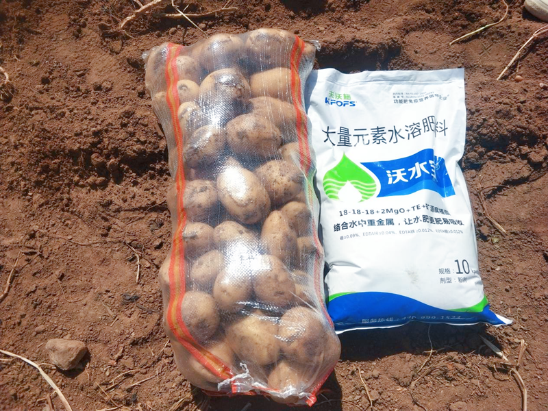 大量元素水溶肥-土豆用沃水宝大量元素1.png