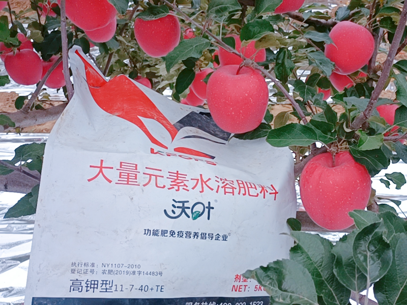 苹果树施什么肥料最好-沃叶水溶肥1.png