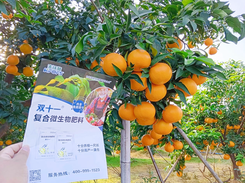 柑橘树施什么肥最好-双十一微生物肥料1.png