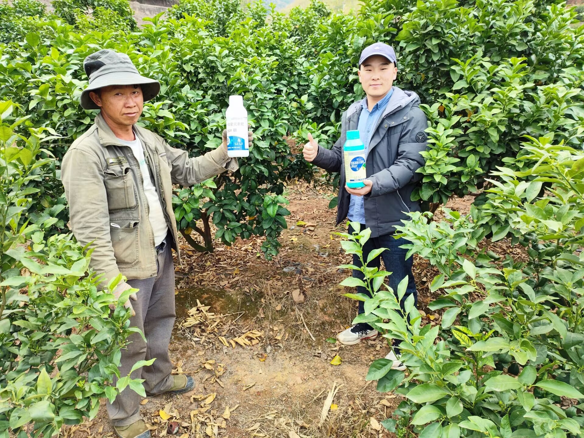 水溶肥和复合肥哪个效果更好?