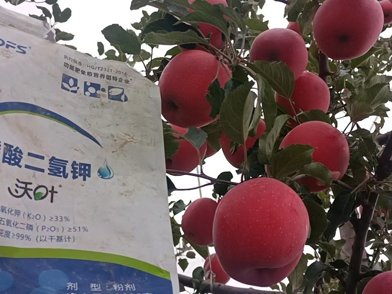 苹果树施什么肥料好-沃叶磷酸二氢钾 (1).jpg
