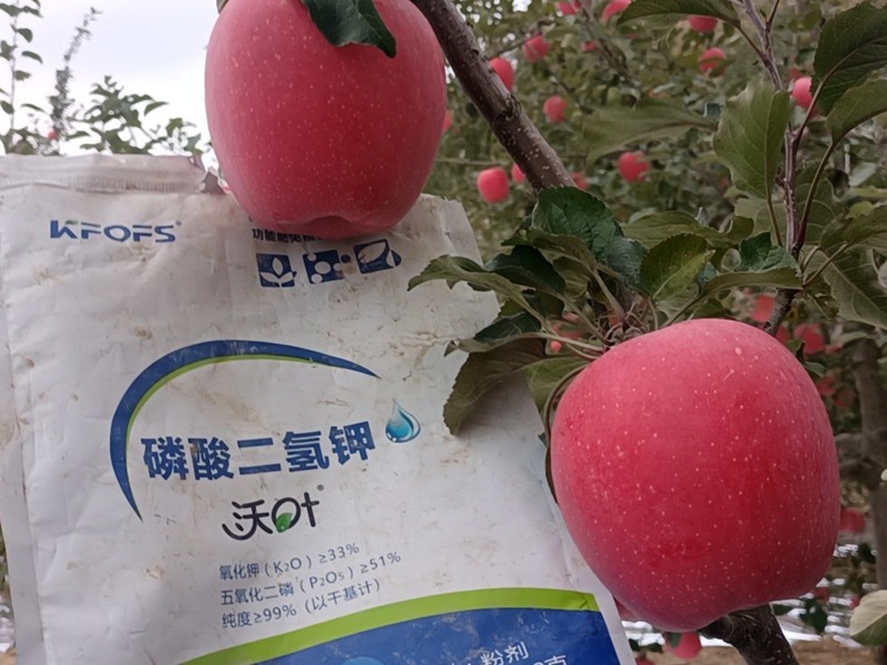 苹果树施什么肥料好-沃叶磷酸二氢钾 (2).jpg