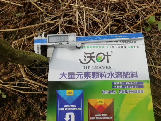 颗粒水溶肥-百香果用沃叶茎秆粗壮.png