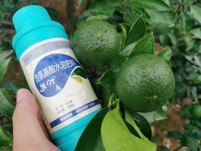 解密植物对氨基酸的吸收原理，夫沃施掌握氨基酸水溶肥核心科技