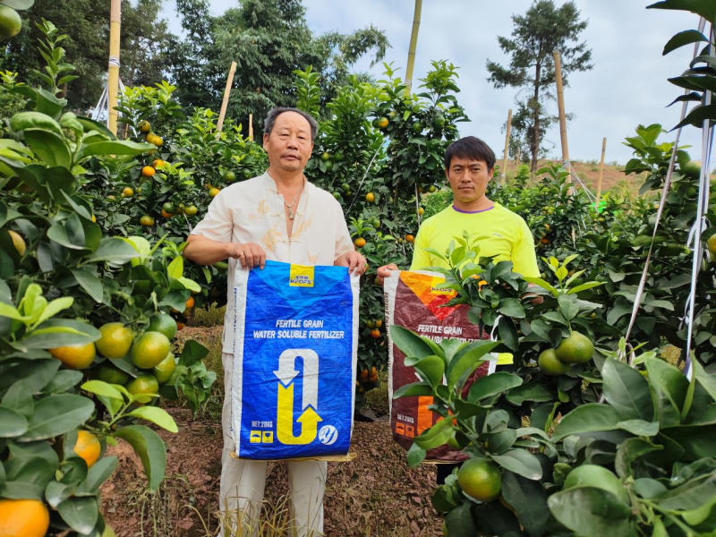 柑橘春季施肥技术