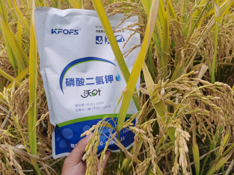 水稻施肥时间与施肥技术