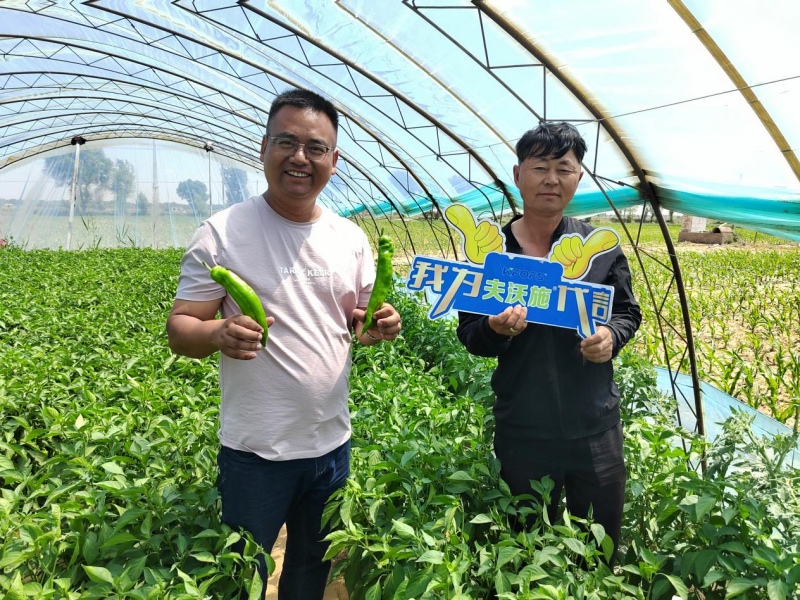 磷酸二氢钾正确施肥方法