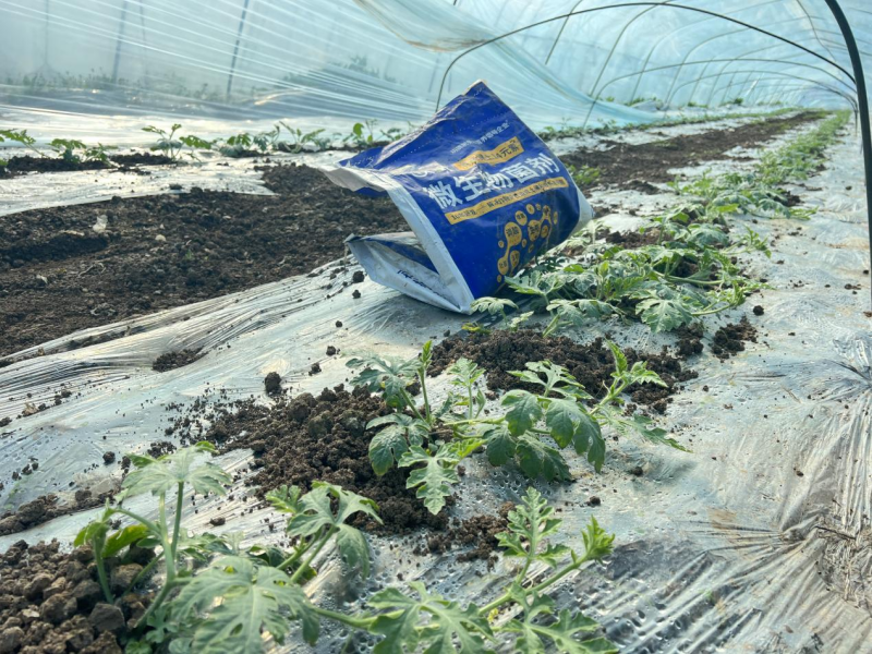 微生物菌剂-沃叶消茬健土14元素江苏西瓜1.png