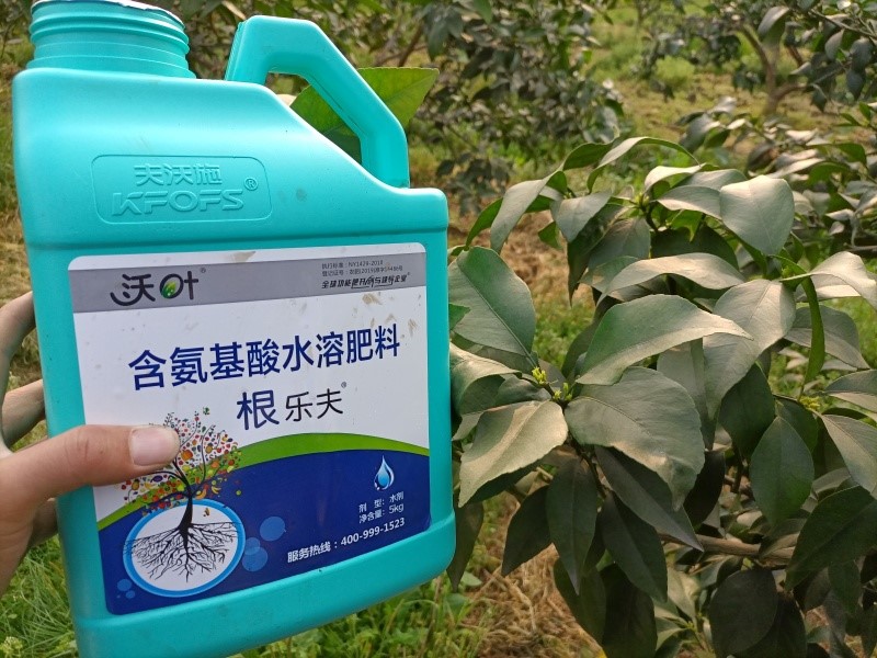 柑橘施肥用什么-沃叶根乐夫.jpg