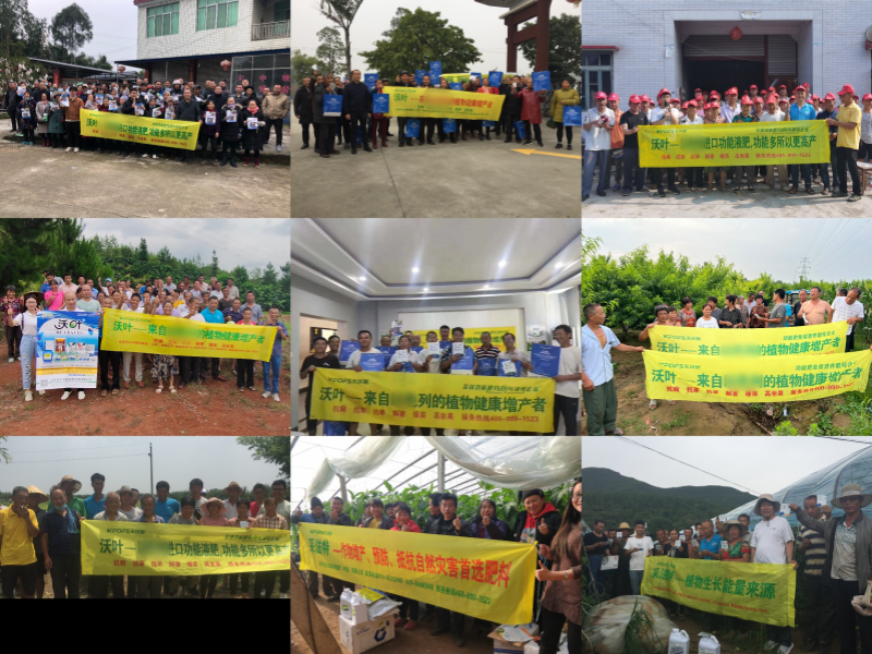 冬储—夫沃施线下会议1.png 冬储—夫沃施线下会议1.png