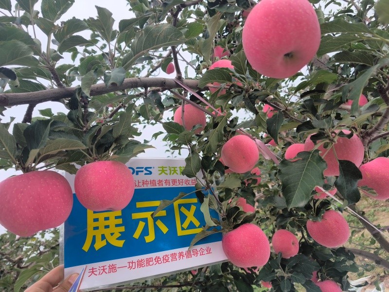 苹果树一年施肥列表 苹果树一年施肥列表