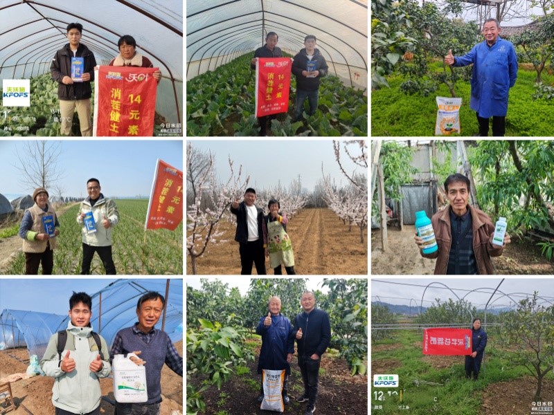 聚力破局 向新而行——第二十六届上海CAC国际农化展全景观察 聚力破局 向新而行——第二十六届上海CAC国际农化展全景观察