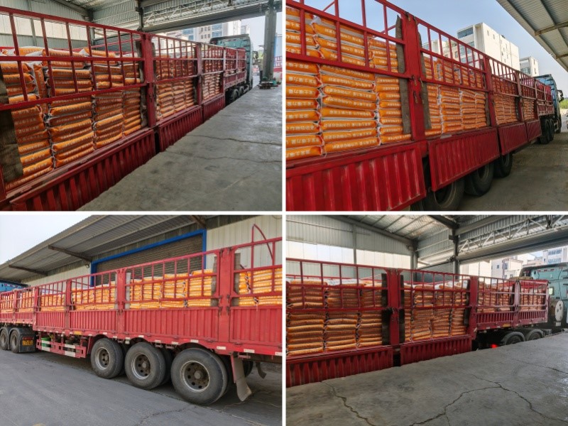 大蒜提苗养根肥要用功能性水溶肥