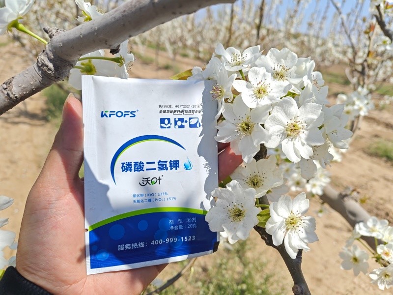 磷酸二氢钾的功效和作用 磷酸二氢钾的功效和作用