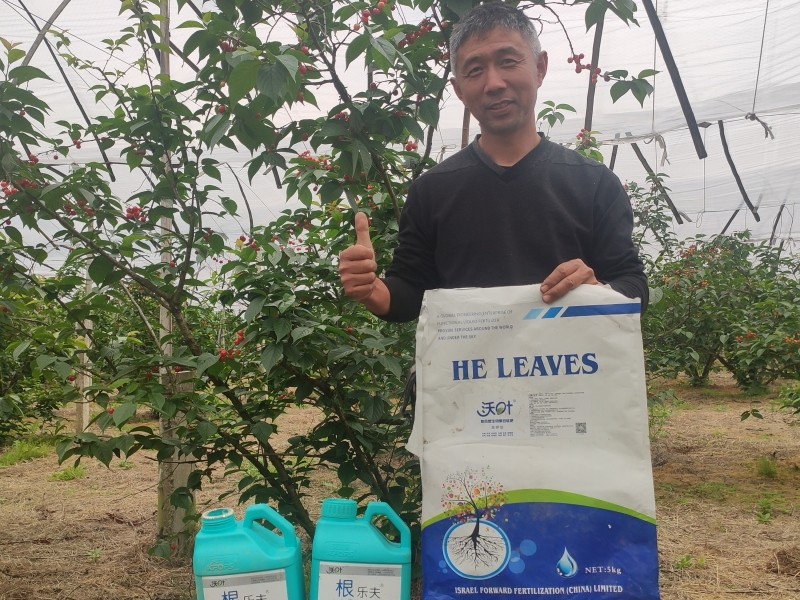 微生物菌剂施多了会烧根吗？